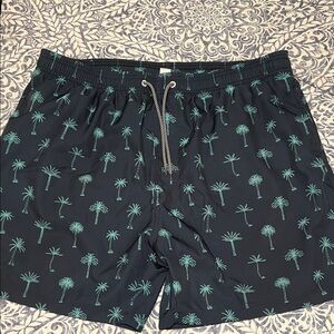Men's Palm Tree Swim Shorts - Black and Green